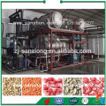 China Equipo de procesamiento para el congelamiento de frutas de secado Verduras